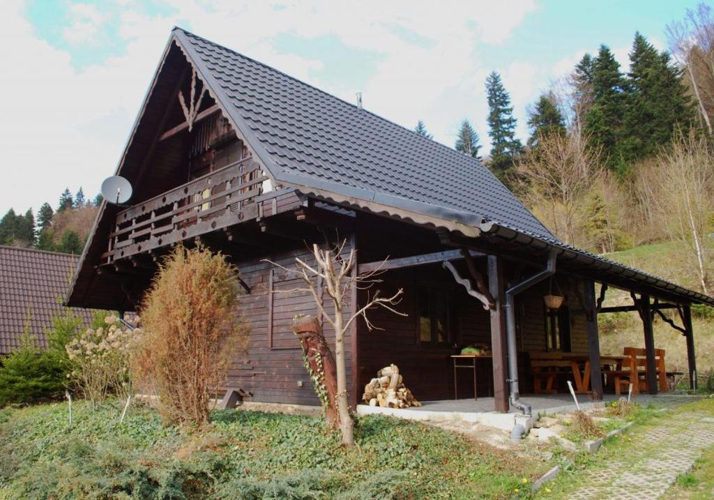 Bieszczadowy Domek Bystre (Lesko) Exterior foto